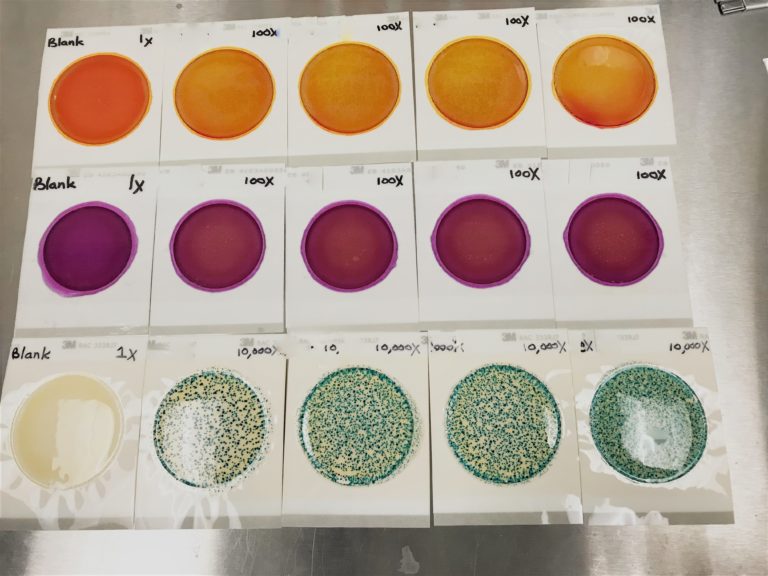 Microbial Testing Medicine Creek Analytics