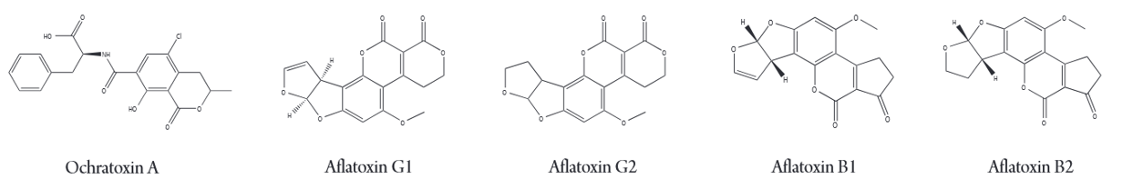 Mycotoxin Molecule